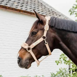 Kentucky Horsewear - Licol polaire Teddy beige