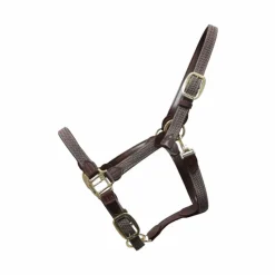 Kentucky Horsewear - Licol cheval nylon tressé gris