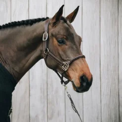 Kentucky Horsewear - Licol cheval anatomique