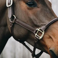 Kentucky Horsewear - Licol cheval anatomique