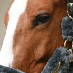 Kentucky Horsewear - Licol de transport mouton gris