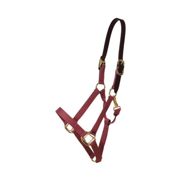 Kentucky Horsewear - Licol nylon Breakaway bordeaux