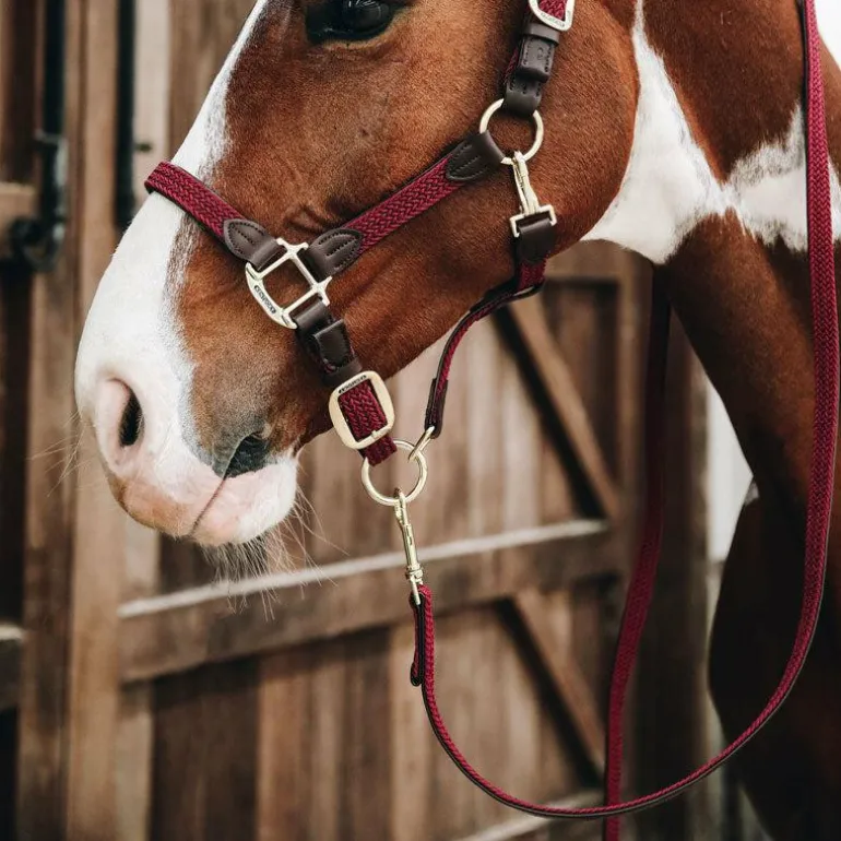 Kentucky Horsewear - Longe nylon tressé bordeaux 2m