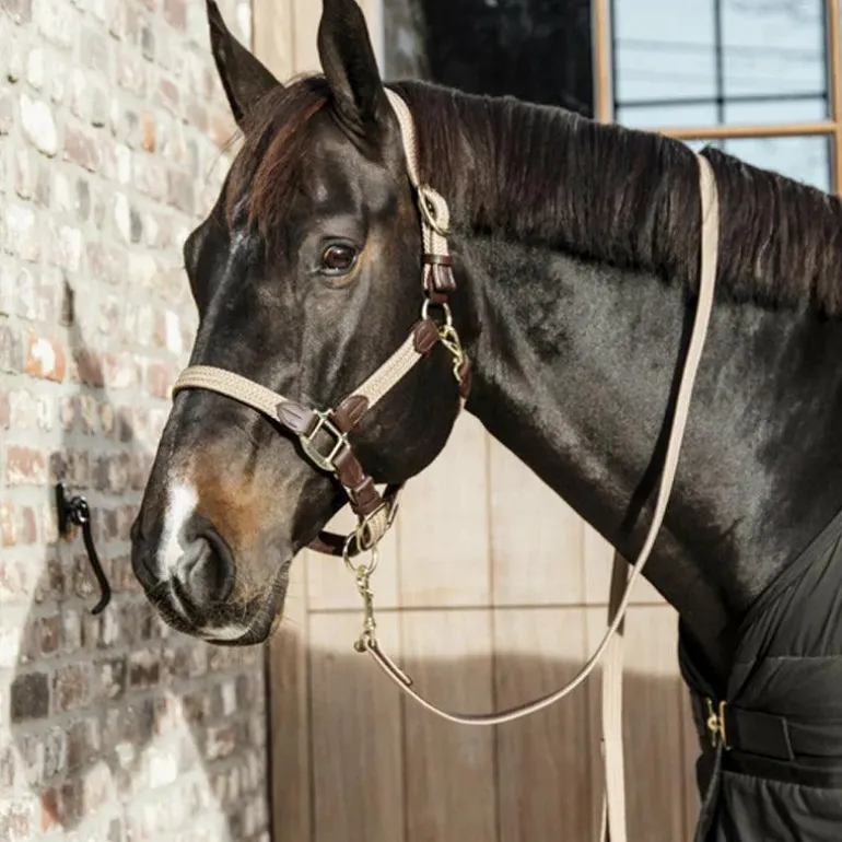 Kentucky Horsewear - Longe de nylon tressé beige