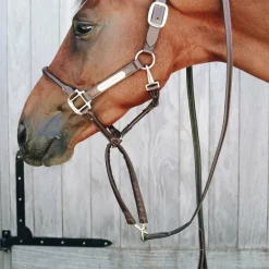 Kentucky Horsewear - Longe de présentation recouverte de cuir