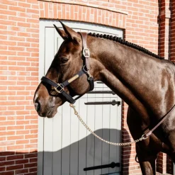 Kentucky Horsewear - Longe de présentation marron