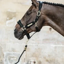 Kentucky Horsewear - Longe nylon 2m noir