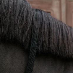 Kentucky Horsewear - Longe en nylon tressé noir 2 m