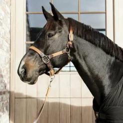 Kentucky Horsewear - Longe de nylon tressé orange