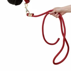Kentucky Horsewear - Longe Rope Basic rouge 2m