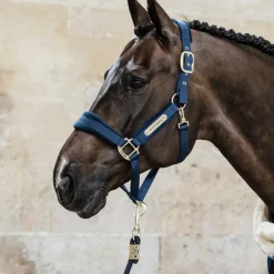 Kentucky Horsewear - Longe nylon 2m Velvet marine
