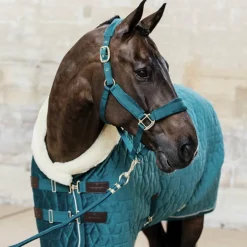 Kentucky Horsewear - Longe nylon 2m Velvet émeraude