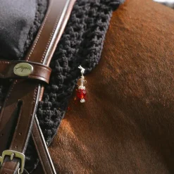 Kentucky Horsewear - Lucky Charms rouge/marron clair