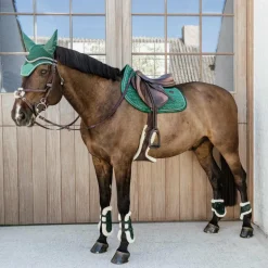 Kentucky Horsewear - Protège-boulets jeunes chevaux mouton vegan Velvet vert foncé