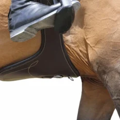 Kentucky Horsewear - Sangle bavette marron