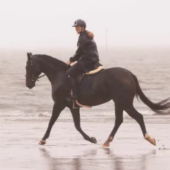 Kentucky Horsewear - Sangle bavette mouton marron