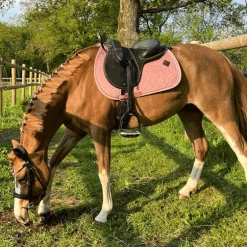 Kentucky Horsewear - Tapis de selle Velvet Jumping Vieux rose pour minis