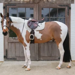 Kentucky Horsewear - Tapis de selle Melange beige