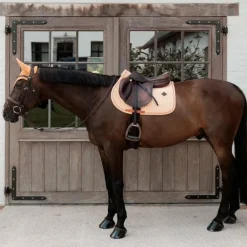 Kentucky Horsewear - Tapis de selle Velvet Printing flags orange