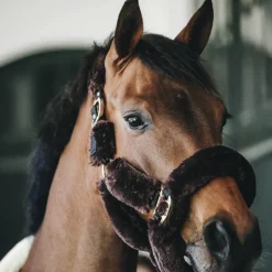Kentucky Horsewear - Têtière pour Licol de transport mouton marron