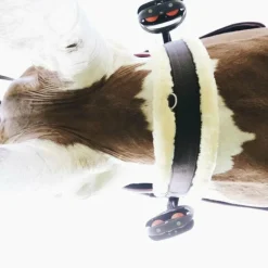 Kentucky Horsewear- Sangle mouton