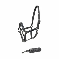 Lami-cell - Licol et longe Classical gris