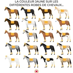 Lami-cell - Tapis de dressage LC miel doré