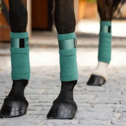 LeMieux - Bande de polo Loire Sage vert (x4)