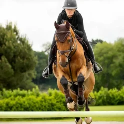 LeMieux - Bonnet pour chevaux Crystal marron