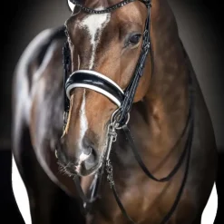 LeMieux - Bride Kudos noir/ blanc