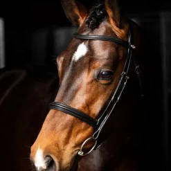 LeMieux - Bridon Arika Cavesson noir/ argent