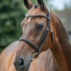 LeMieux - Bridon Arika Cavesson marron/ argent