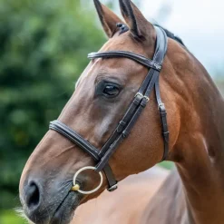LeMieux - Bridon Arika Cavesson marron/ argent