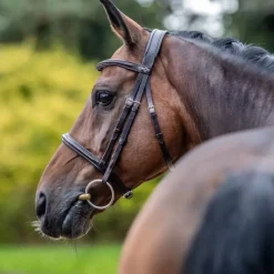 LeMieux - Bridon Arika Cavesson marron/ argent