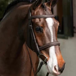 LeMieux - Bridon avec rênes Hunter havane/ argent
