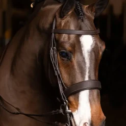 LeMieux - Bridon avec rênes Hunter havane/ argent