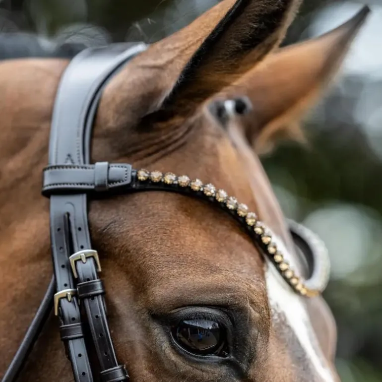 LeMieux - Bridon de dressage Kudos Patent marron