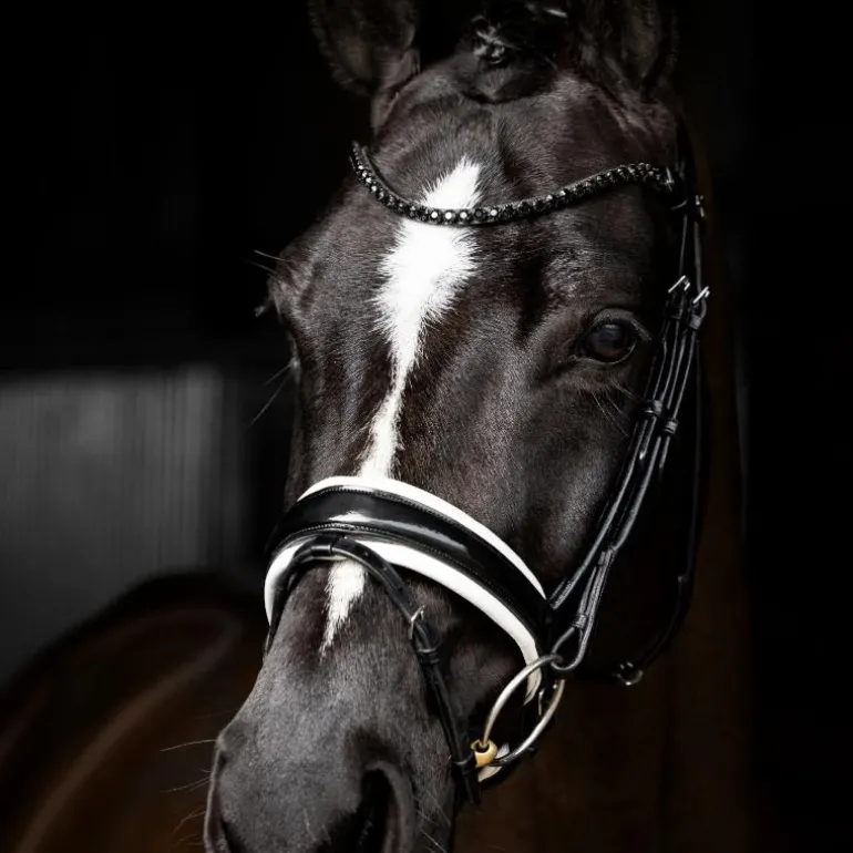 LeMieux - Bridon de dressage Kudos Patent noir/ blanc