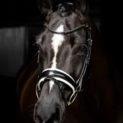 LeMieux - Bridon de dressage Kudos Patent noir/ blanc
