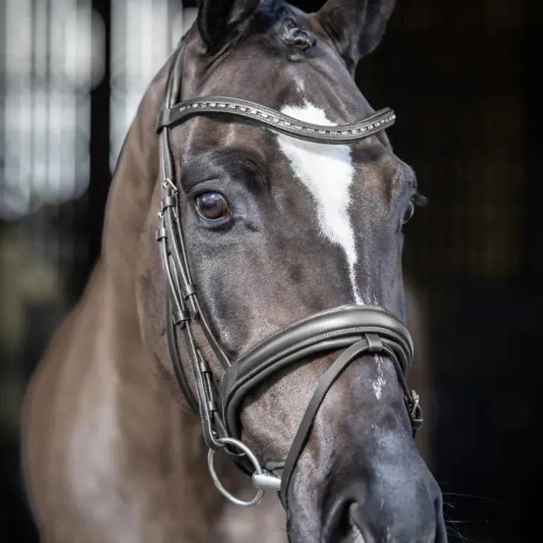 LeMieux - Bridon de dressage Arika noir/ argent