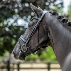 LeMieux - Bridon de dressage Kudos Patent noir