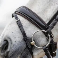 LeMieux - Bridon Kudos Classic Dressage marron