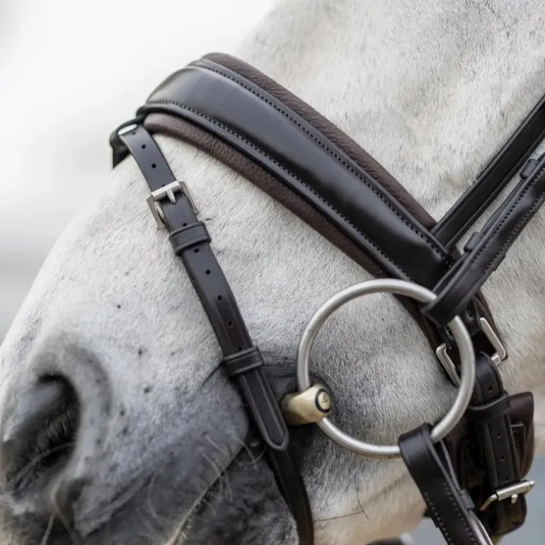 LeMieux - Bridon Kudos Classic Dressage marron