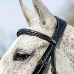 LeMieux - Bridon Kudos Competition Flash noir