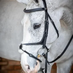 LeMieux - Bridon Kudos Grackle muserolle croisée noir
