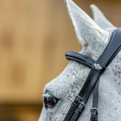 LeMieux - Bridon Kudos Grackle muserolle croisée noir