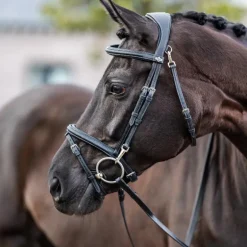 LeMieux - Bridon Kudos Work noir