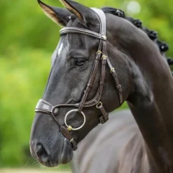 LeMieux - Bridon muserolle anatomique Kudos havane