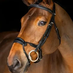 LeMieux - Bridon muserolle anatomique Kudos noir