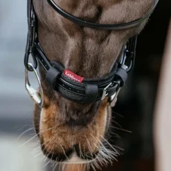 LeMieux - Fourreau de muserolle noir